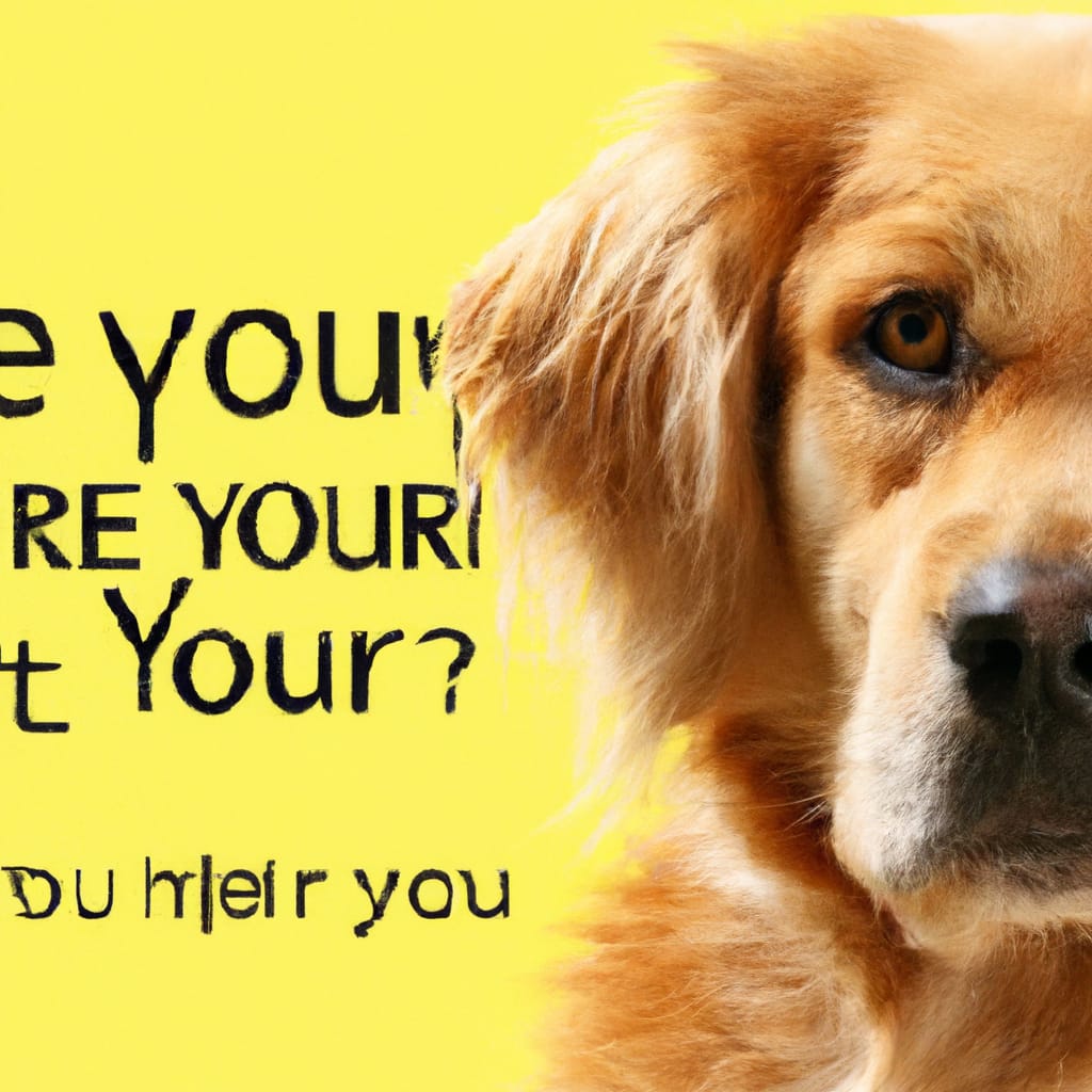 dog proofing your home safety tips for pet owners 2