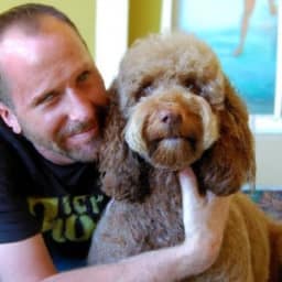 Do Labradoodles Bark A Lot?  How To Put A Stop To It