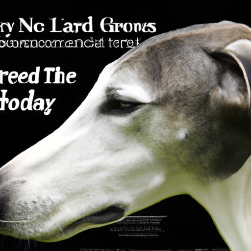 Greyhound Shedding: Why Do Greyhounds Shed?