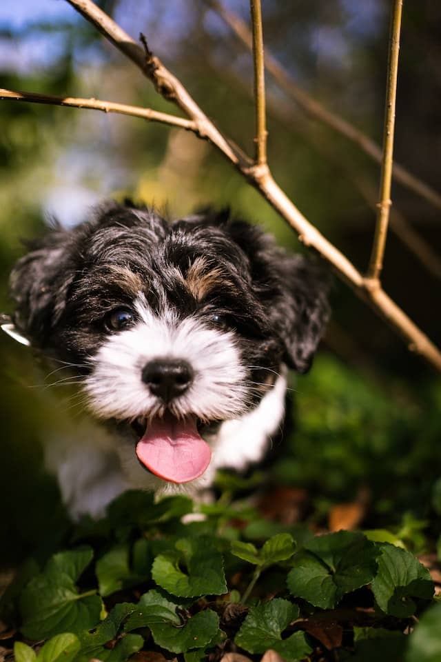 pexels kyle miller 11402566