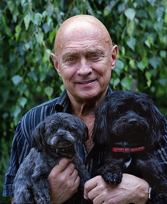 Senior Dog Care: How To Provide Comfort And Quality Of Life