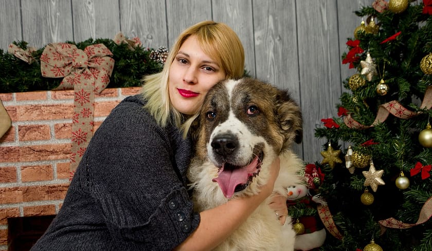 Famous Dog Breeds In Pop Culture: From Lassie To Scooby-Doo