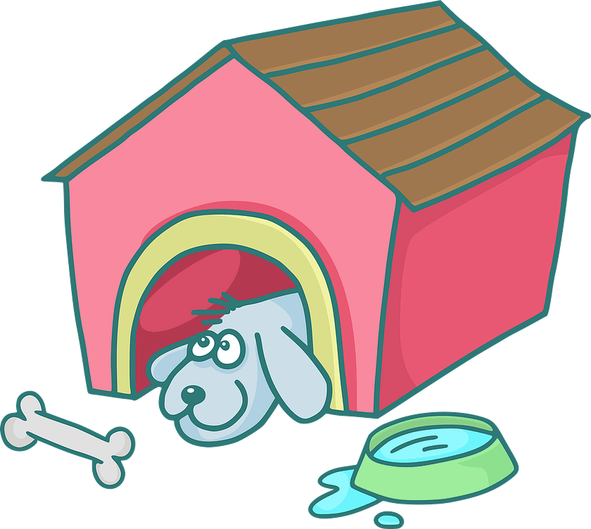 Doodle Dog Breeding: Health Considerations For Responsible Breeders