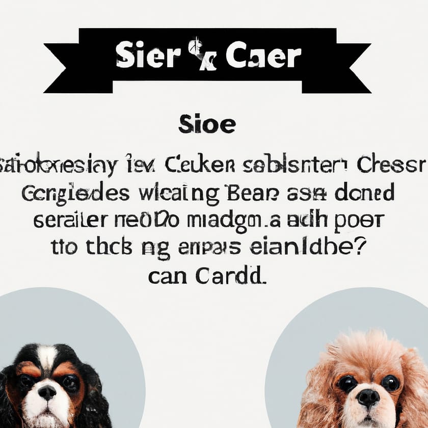 Cavalier King Charles Spaniel Vs Cocker Spaniel